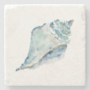 Search for seashell decor coasters Beach