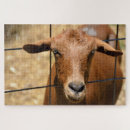 Search for funny goat puzzles Cute