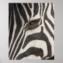 Search for extreme animals art Vertical