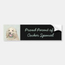Search for spaniel bumper stickers Cocker