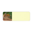 Search for white tailed deer return address labels Hunting