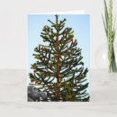Search for puzzle cards Tree