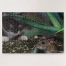 Search for mouse puzzles Cat and mouse