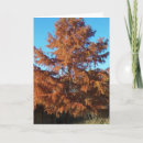 Search for christian autumn cards Religion