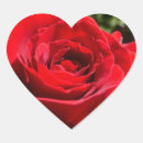 Search for beautiful red rose stickers Garden