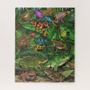 Search for frog puzzles Colorful