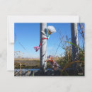 Search for fantasy animals postcards Wildlife