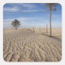Search for douz Landscape