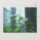 Search for norte Environment