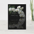 Search for moth cards invites White