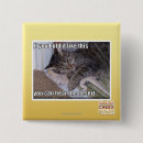 Search for you like this badges I can has cheezburger