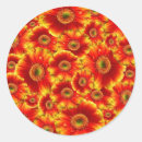 Search for gerbera daisies stickers Flower