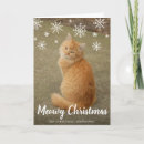 Search for cat photo christmas cards Simple