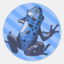 Search for blue frog stickers Amphibian