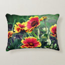 Search for yellow red orange flower cushions Photography