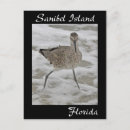 Search for sandpiper postcards Island