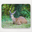 Search for resting mousepads Deer