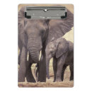 Search for environment clipboards National park