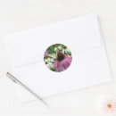 Search for tiger swallowtail butterfly stickers Floral