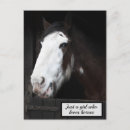 Search for horse postcards Farm animals
