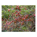 Search for apple orchard art Fall