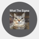 Search for funny cat meme stickers Cute
