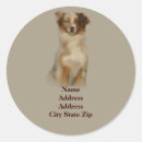 Search for aussie shepherd stickers Herding