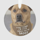 Search for think pet supplies Animal