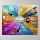 Search for neuron posters Neuroscience