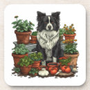Search for collie coasters Animal