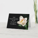 Search for loss of grandfather sympathy cards Flower