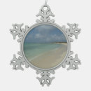 Search for scene christmas tree decorations Ocean