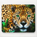 Search for acrylic mousepads Wildlife