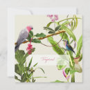 Search for exotic note cards Paradise
