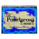 Search for colt calendars Filly