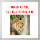 Search for schrodinger cat posters Professor