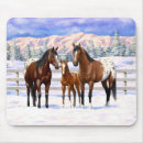 Search for maree electronics Mare and foal