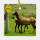 Search for elk christmas tree decorations Deer