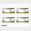 Search for tiny animal stickers Insect