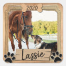 Search for animal photo stickers Puppy