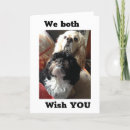 Search for from both of us cards Photography