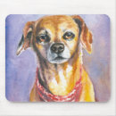 Search for little brown mousepads Animal