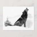 Search for timbers postcards Nature