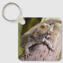 Search for bearded dragon key rings Lizard