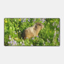 Search for mounted electronics Animal