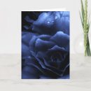 Search for begonias cards Photography