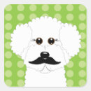 Search for bichon frise stickers Dogs