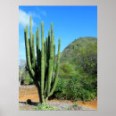 Search for pipe organs posters Cactus