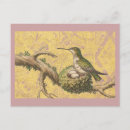 Search for nests postcards Vintage