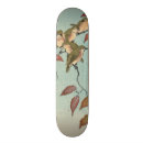 Search for birding skateboards Birds